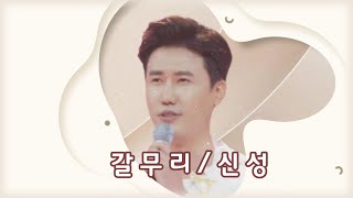 *가습기보이스 신성 //갈무리 ♬ [원곡/나훈아]http://cafe.daum.net/shinsengpen