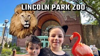 Lincoln Park Zoo 2023 - DanielleDeeOmHaitham - HD 720p