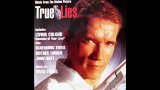 True Lies - Por una cabeza