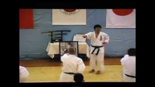 Sensei Manabu Murakami - seminar S.K.I.F. kancho Hirokazu Kanazawa in Czech Rebublic 2007 - (1)