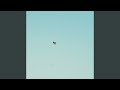 Nymph (Live)