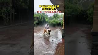 男子趁下雨給狗狗洗澡，還不忘給自己挫兩下😂