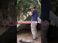 tarp camping タープ泊キャンプ 焚き火で焼き芋