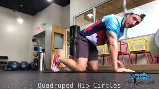 Quadruped Hip Circles