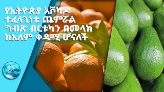 ግብፅ በ10 ወር ወስጥ 1 4 ሚሊየን ቶን ብርቱካን ወደ ውጭ ላከች/Ethio Business SE 7 EP 7