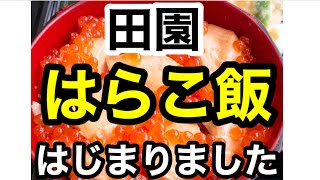 宮城県亘理町『田園』で秋の旬！！『はらこめし』を食べましたー！！