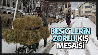 Besicilerin Kış Ayında Zorlu Mesaisi