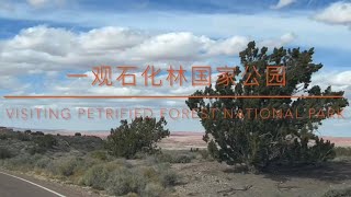 Visiting Petrified Forest National Park 石化林国家公园