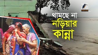 থামছে না প্রমত্ত পদ্মা, বিলীন হচ্ছে জনপদ