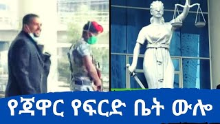 Ethiopian Daily News: ከቤቴ በብርበራ የተገኘው የሳተላይት መሳርያ በጉምሩክ ያለፈ ነው:- አቶ ጀዋር | Jawar Mohammed |