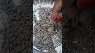 # Use ash for preserving seeds.