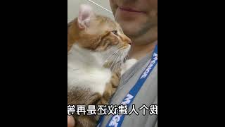 折耳猫不能养，卷耳猫能养吗？ #006