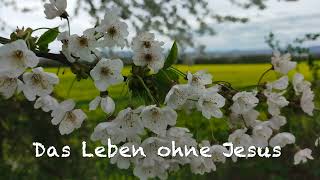 Das Leben ohne Jesus / Rita Johann Ott