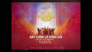 ĐÂY CHÍNH LÀ DÒNG DÕI (Tv 23) | Lm. JB An Ninh  | Tb: Huu Duy | Audio Cover