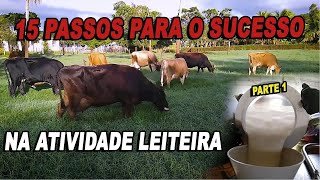 15 PASSOS PARA O SUCESSO NA ATIVIDADE LEITEIRA - Parte 1