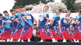 [4K]丹波沼貫よさこいチーム 一心貫　篠山よさこいまつり2017 三の丸会場（中央）