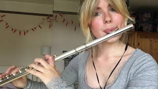 Believe - Cher (Ella Henderson Version) Flute Cover