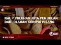 RAUP PULUHAN JUTA PERBULAN DARI OLAHAN KERIPIK PISANG | U-NEWS