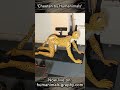 cheetah by humanimals tutorial promo shorts