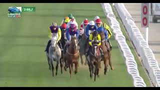 2022 02 26/ R 3/:C Lemaiire  / Stay Foolish /T  Yahagi 3000m G3/ @Riyadh