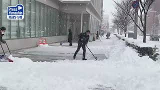 庄内中心にまとまった雪