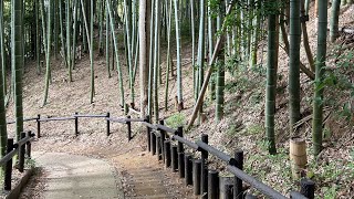 続日本100名城125番　小机城址　神奈川県横浜市