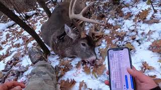 Minnesota shotgun deer hunting