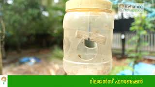 കീടനിയന്ത്രണത്തിനായി ഫിറമോണ്‍ കെണികള്‍ | Installing of Pheromone Traps for Pest Control