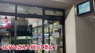 ポゴナ河合の営業という名のショップ巡り 第7回 神奈川県川崎市　Reptiles Shop アライブさん