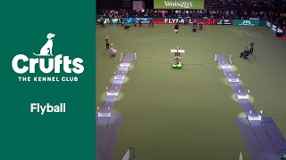 Flyball - Quarter Finals | Crufts 2022