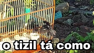 campeada Com tizil olhar como ele ta daquele jeito