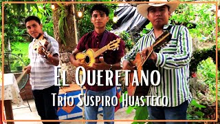 Trío Suspiro Huasteco - El Queretano