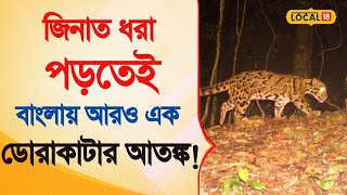 Bangla News  | জিনাত ধরা পড়তেই বাংলায় আরও এক ডোরাকাটার আতঙ্ক! |  Viral Video |  #local18