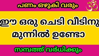 ഈ ചെടി വീട്ടിൽ വളർത്തുക  | Astrology Malayalam | Jyothisham