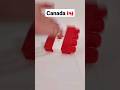 Canada flag #canada #flag #viralvideo #viralshorts #youtubeshorts #youtube #ytshorts #viral #country