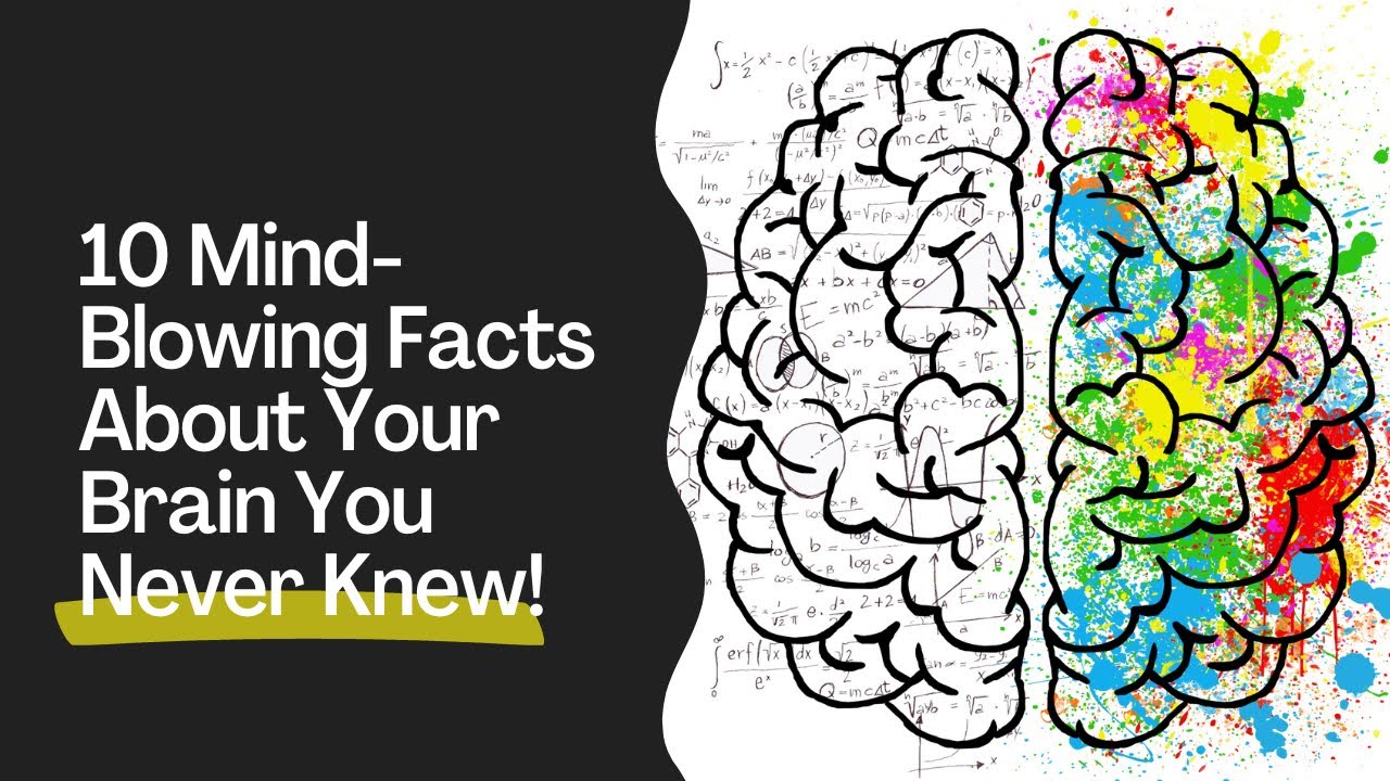 10 Mind-Blowing Facts About Your Brain You Never Knew | Fatcually ...