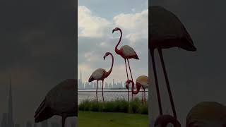 Hidden Gem In Dubai