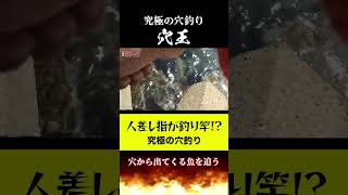 穴から巨大魚を釣るやり方#Shorts