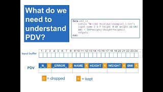 Program Data Vector (part-1) | DATA Step Processing