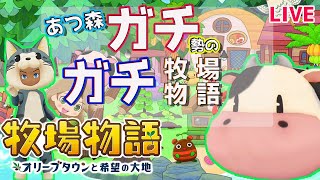 あつ森ガチ勢によるガチンコ牧場物語#1　【牧場物語/オリーブタウン/あつまれどうぶつの森/最速/攻略/検証/金策/イベント/結婚条件】