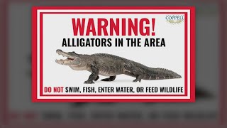 Alligator spotted in North Texas town, residents asked to keep their distance