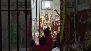 বেহালার মা সিদ্ধেশ্বরী কালী মন্দির #kali #kalimaa #viral #public #behala #kolkata