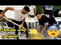 چاڵنجی خواردنی یەک مەنجەڵ ئیندۆمی،کێ دەباتەوە؟!😅