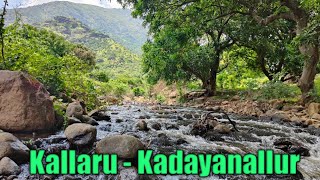 Kallaru | Kadayanallur | Western Ghats | The Forest Makes Our Heart Pure