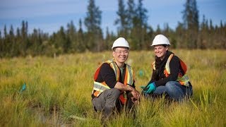 NAIT Boreal Research Institute leads applied research in reclamation of oil and gas sites