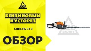 Бензиновый кусторез STIHL HS 81 R в работе