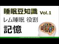 【簡単】睡眠豆知識　part 1 レム睡眠、なぜ大事？【解説】