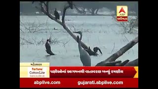 Mudda Ni Vat : watch special report on Thol bird sanctuary of Mehsana