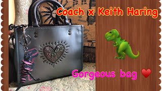 Coach Keith Haring Rogue 25