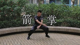 4k60 | 嶺南洪拳虎鶴派 箭掌 | Hung Gar Kung Fu Tiger Crane Style Arrow Palm